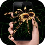 Logo of Spider In Phone android Application 